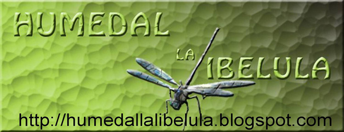 HUMEDAL LA LIBÉLULA