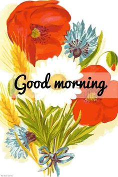 good morning friends images hd