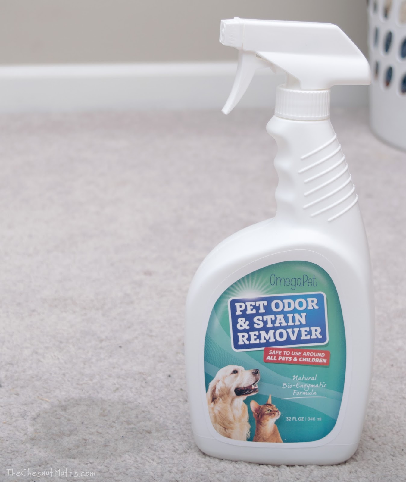 Review & Giveaway Cleaning up "Accidents" with OmegaPet's Pet Odor