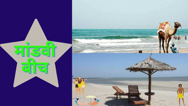 Beautiful Beaches in India - Mandvi Beach