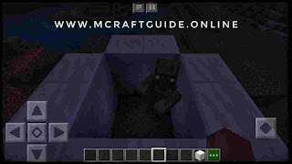 minecraft zombie villager trapped