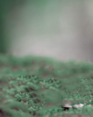 New Full Blur Green Effect Background Free Stock New Full Blur Green Effect Background Free Stock