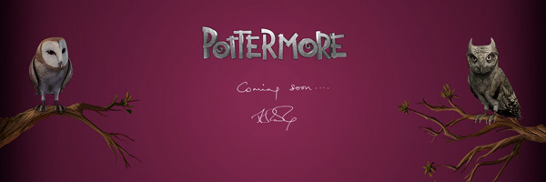 celebrity-movies-what-is-pottermore