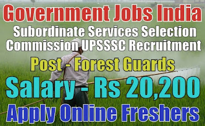 UPSSSC Recruitment 2019