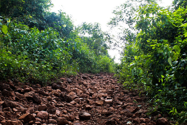 Sondai Fort Trek