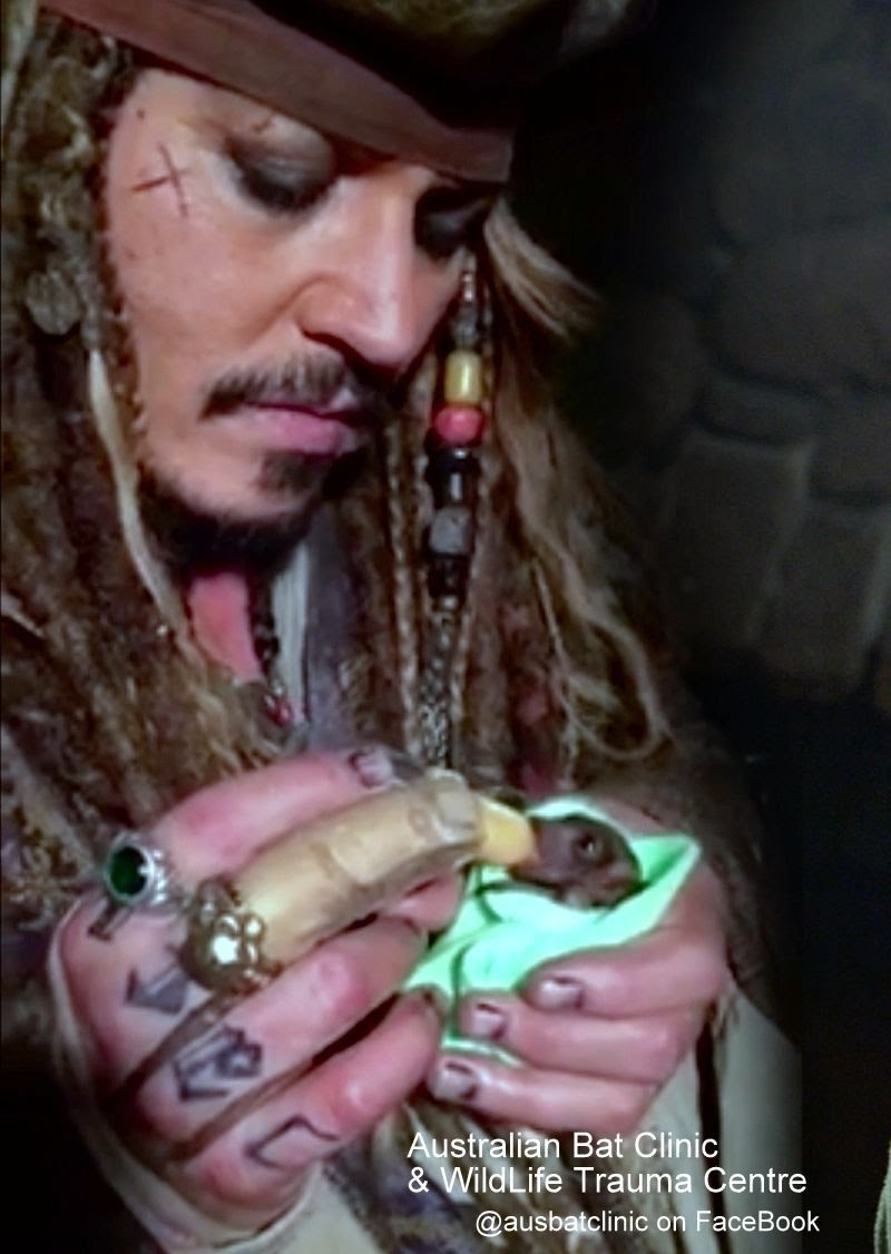 Pirates of the Caribbean Why Jacks Tattoo Makes No Sense