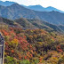 5 famous red and yellow forests in China