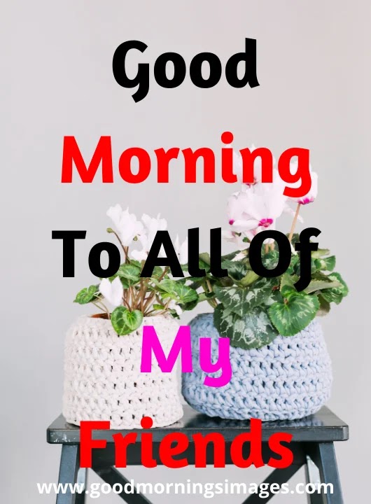 Good Morning Friends Images Good Morning Friends Images