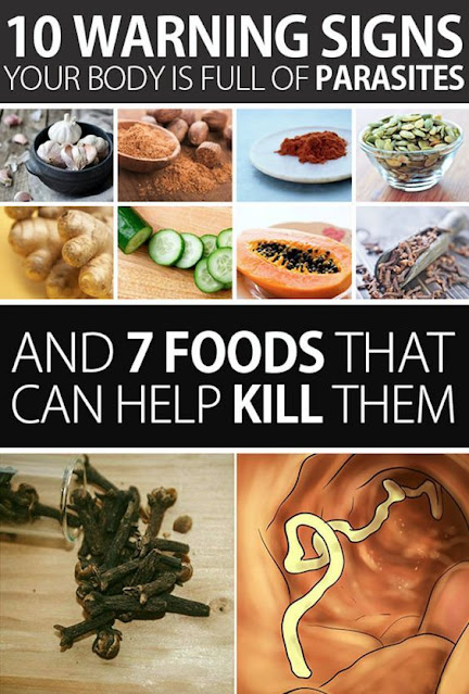 10 Warning Signs Your Body is Full of Parasites and 7 Foods That Can Help Kill Them