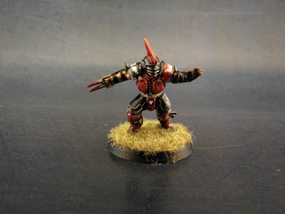 [Image: P1010040.JPG]