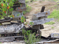 Evidence of Previous Visitors to the Post Office at Floreana Island