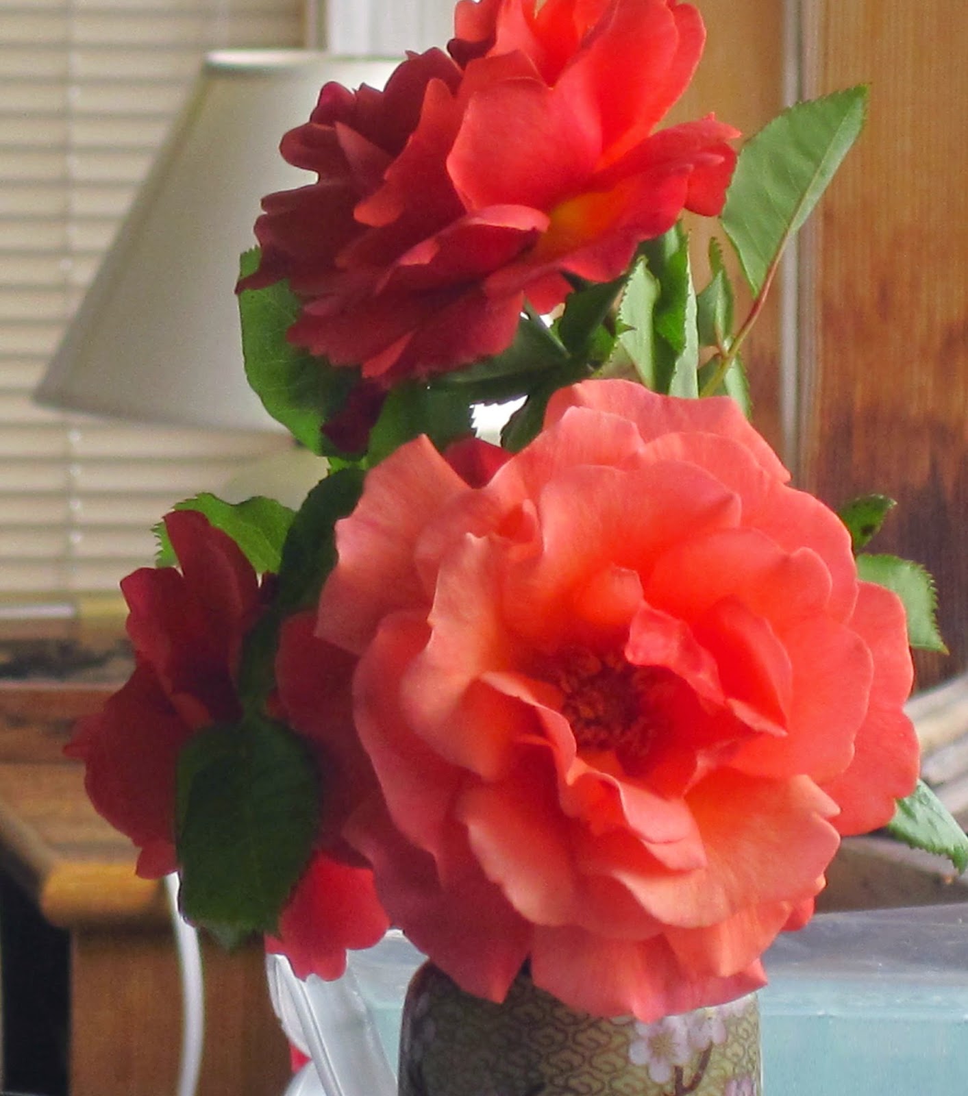 Scene Through My Eyes Flowers on Orcas Island