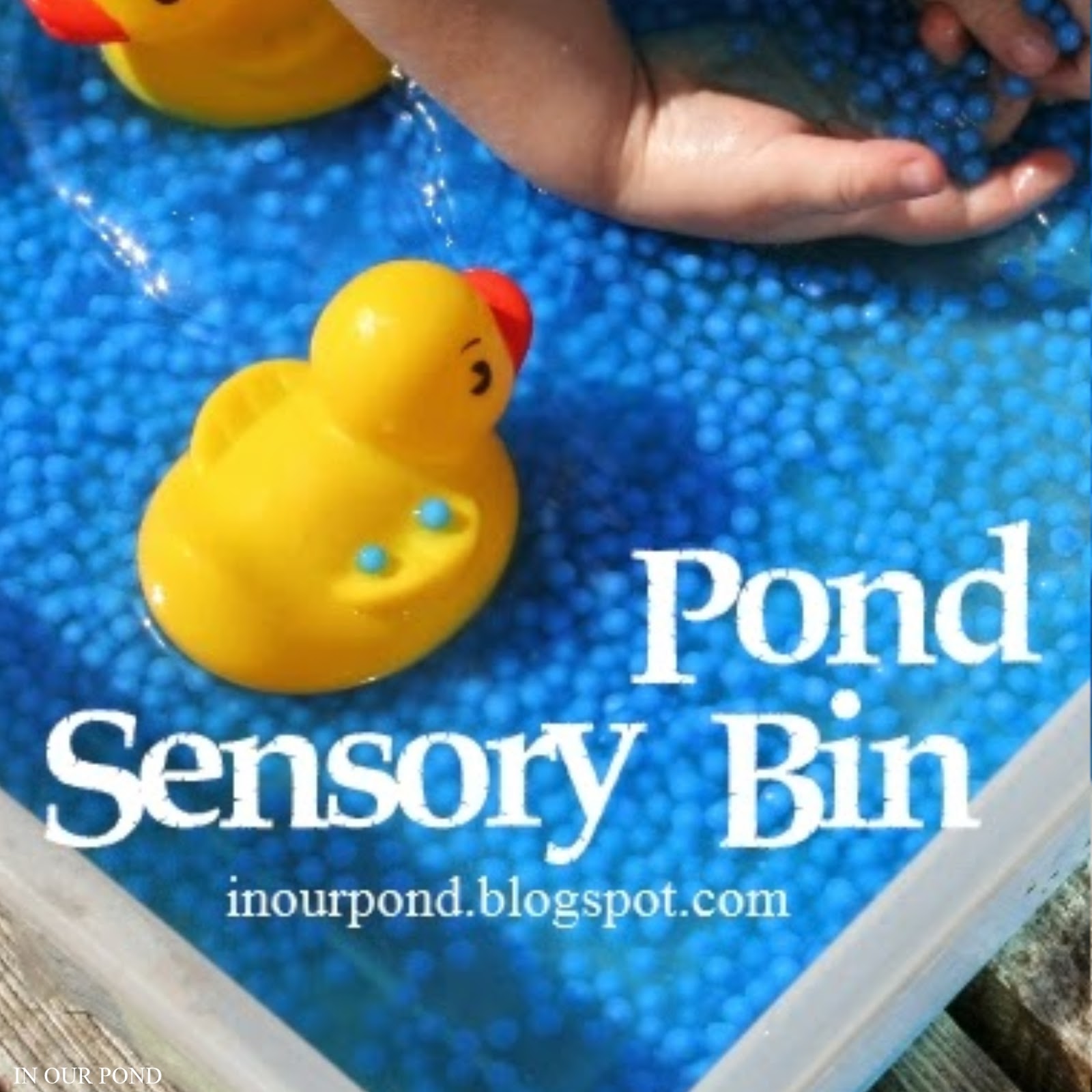 Pond Sensory Bin In Our Pond