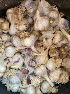 Bag O' Garlic