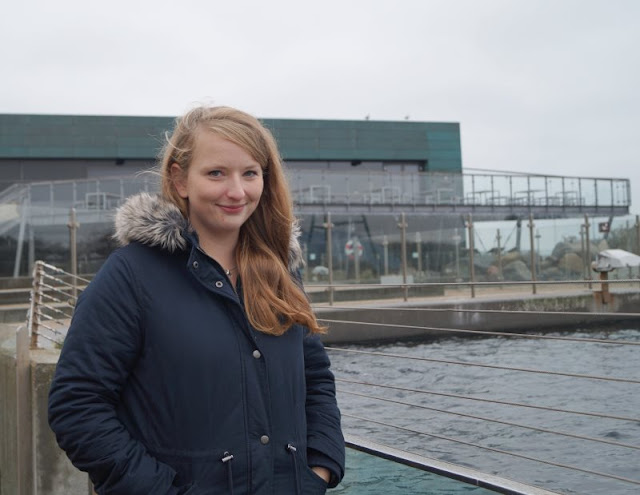 Das Nordsee-Ozeanarium in Hirtshals: Ein tolles Ausflugsziel für Familien in Nord-Jütland. Wir trafen sogar Annika Tooth Meeresbiologin und Robben-Kennerin!