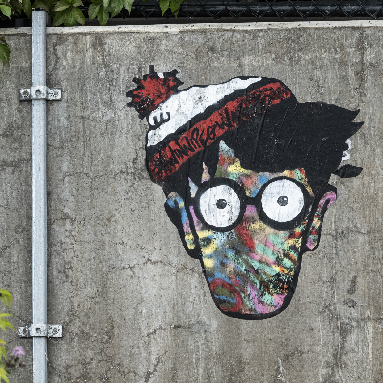 Search Results For Persimmon Tree