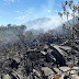 Novo foco de incêndio é combatido no Parque Municipal Serra das Almas na Chapada Diamantina