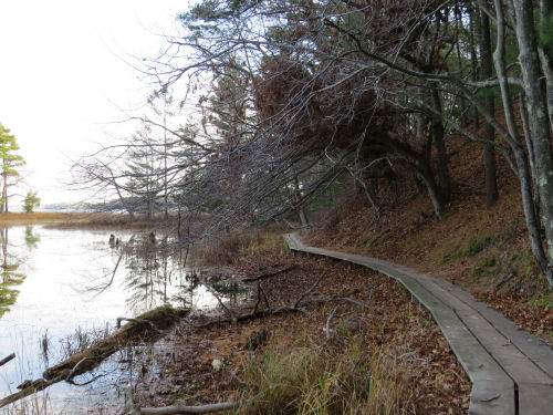 Island Trail Ludington State Park