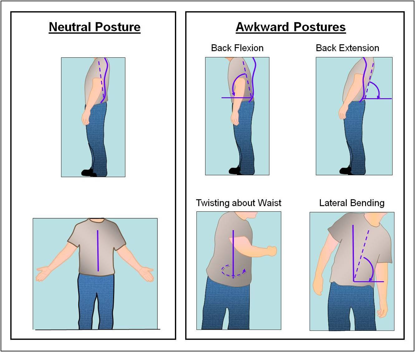 Ergonomics for Gardeners Series 7 Article 2 Applying ergonomic