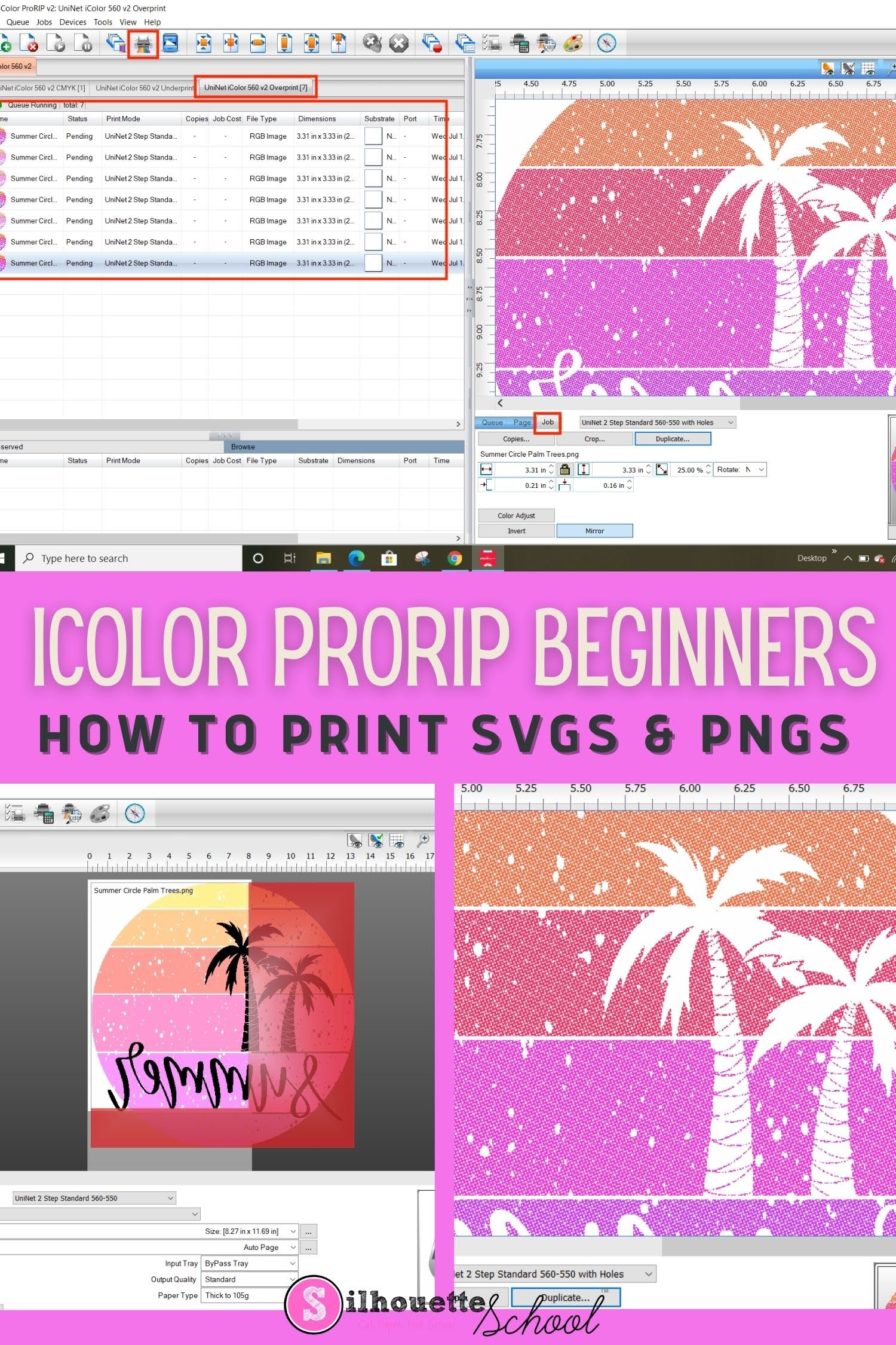 How to Set Up IColor ProRip Software and Use with SVGs or PNG Images