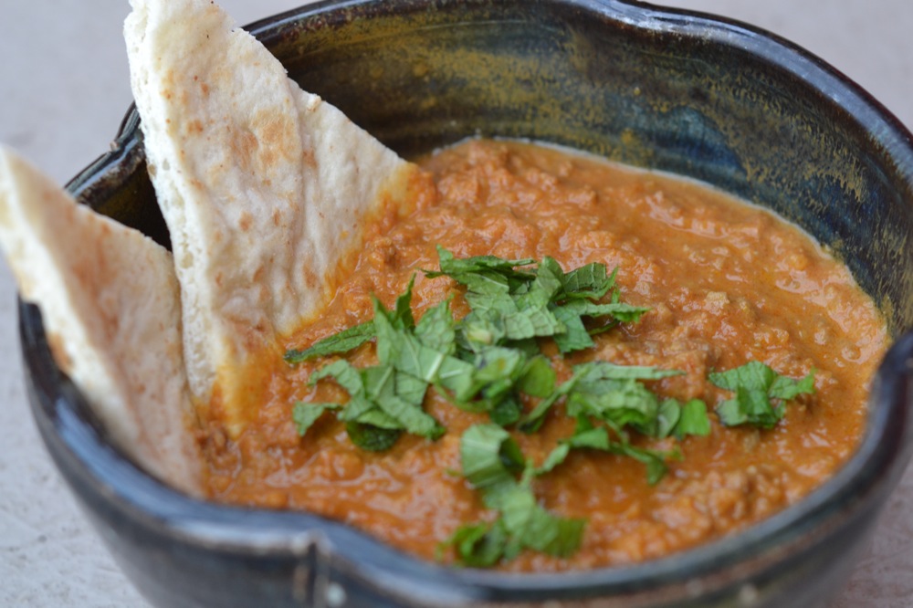 unhip squirrel vij's ground beef curry