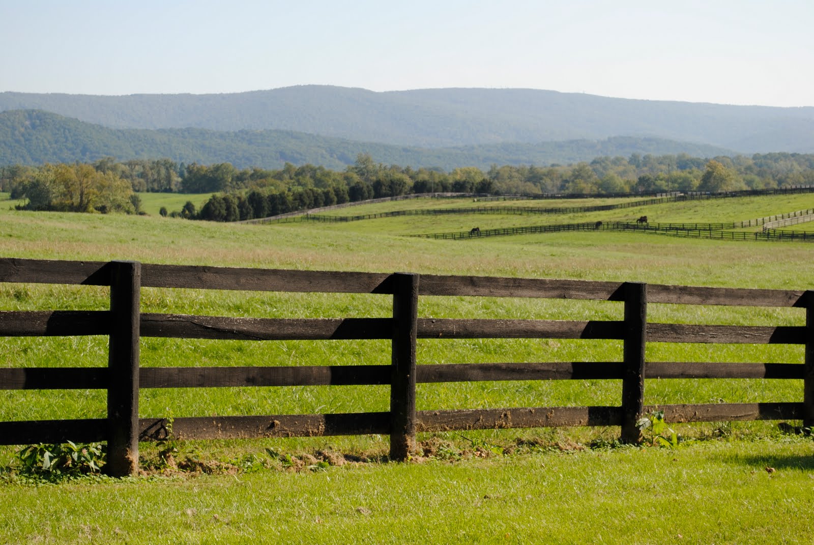 Shenandoah River, Blue Riidge Mountains and Northern Virginia Horse