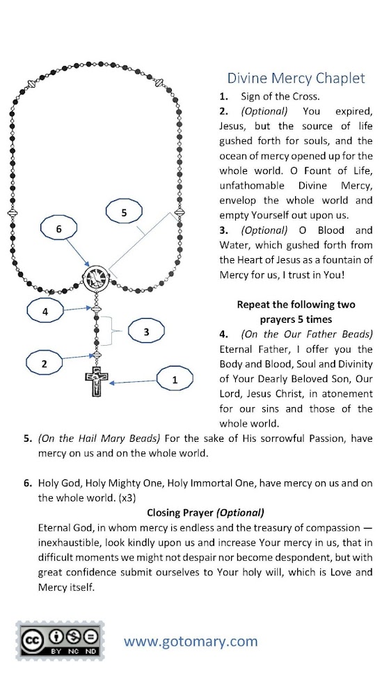 How to pray the Divine Mercy Chaplet Go to Mary Blog