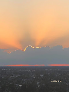 Trauma