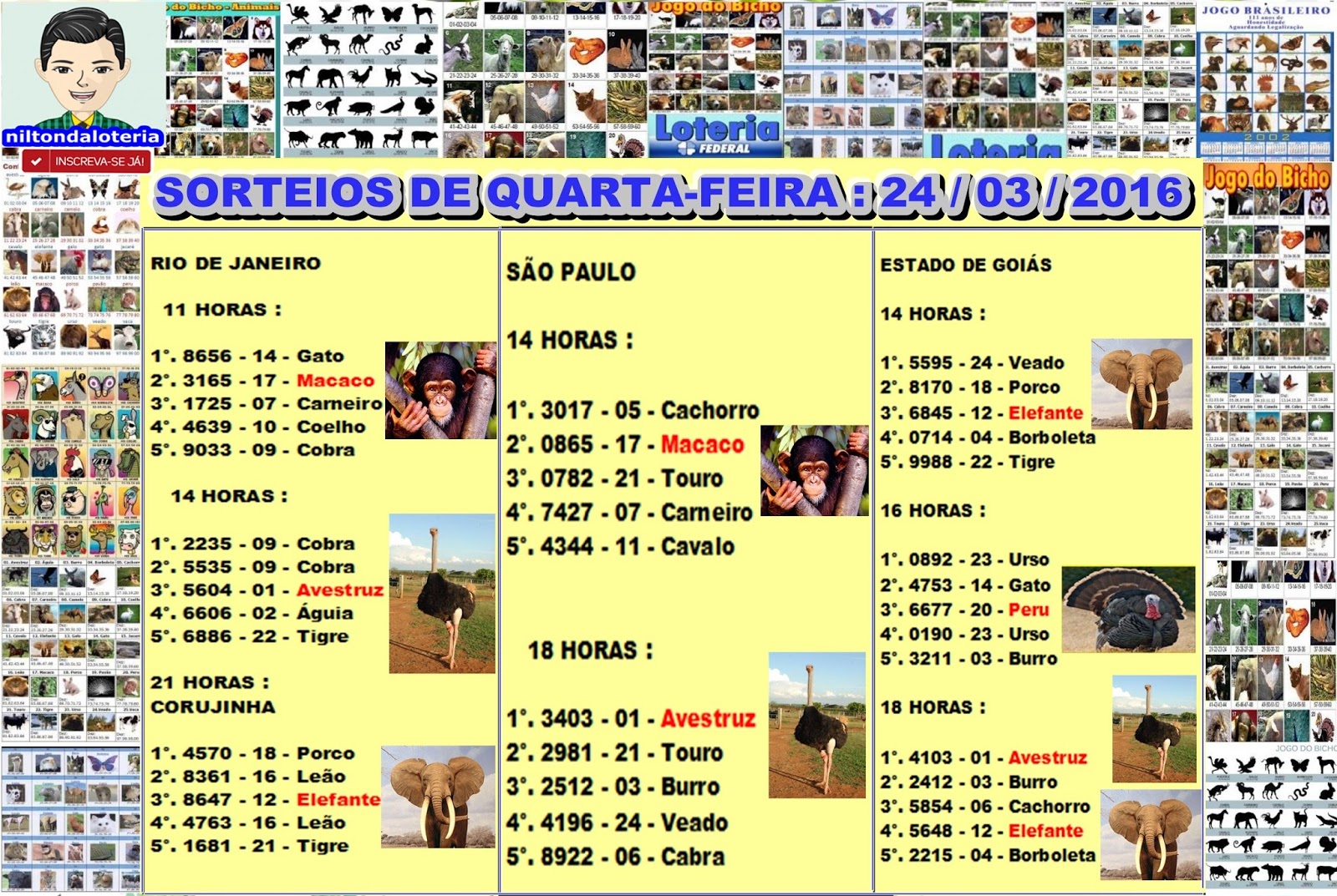 apostar na loteria on line