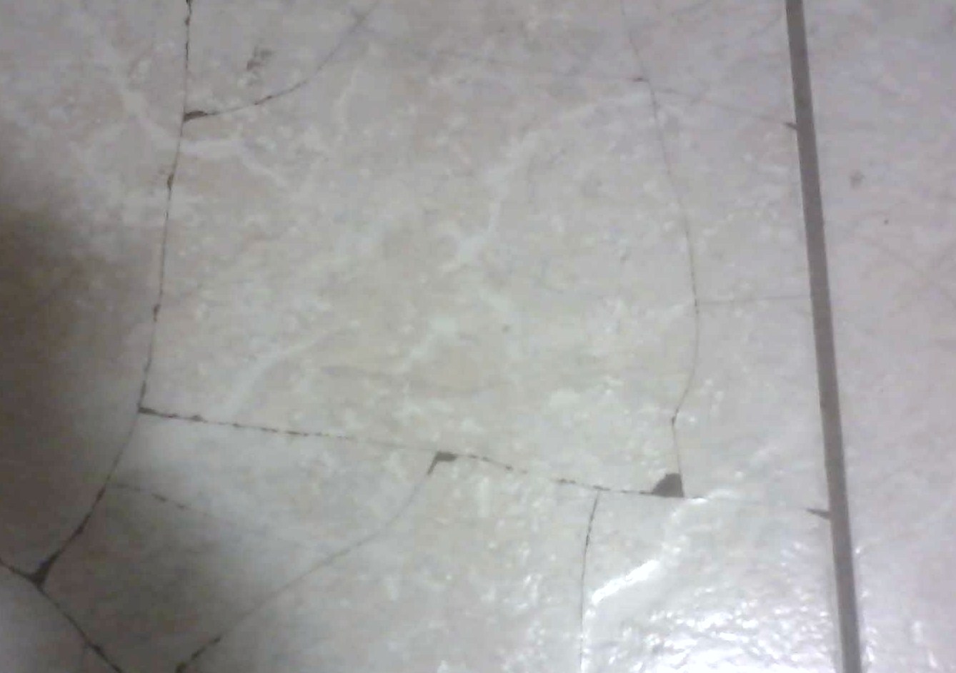 Baby Fell And Hit Head On Tile Floor Clsa Flooring Guide