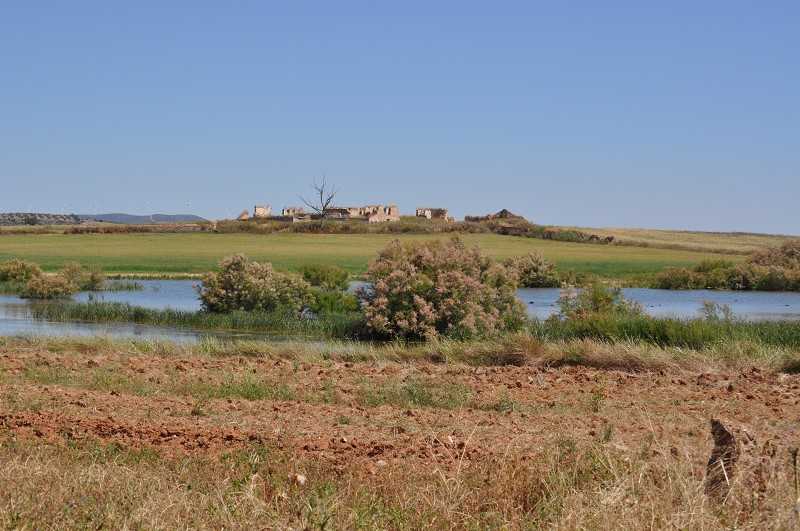 Foto de Fuente de Piedra en Campillos, Málaga