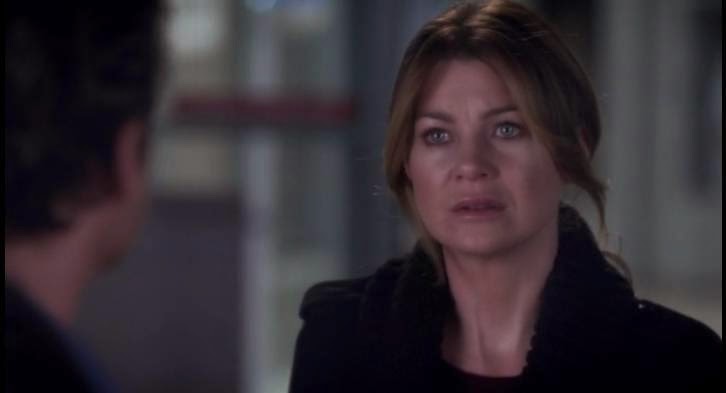 Grey's Anatomy - Risk - Review: Let's catch up shall we.