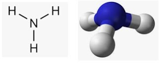 চিত্রঃ মডেল অ্যামোনিয়া