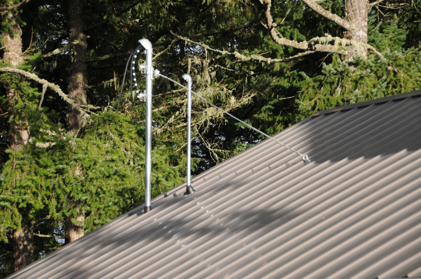 Shower Wisdom December 2011