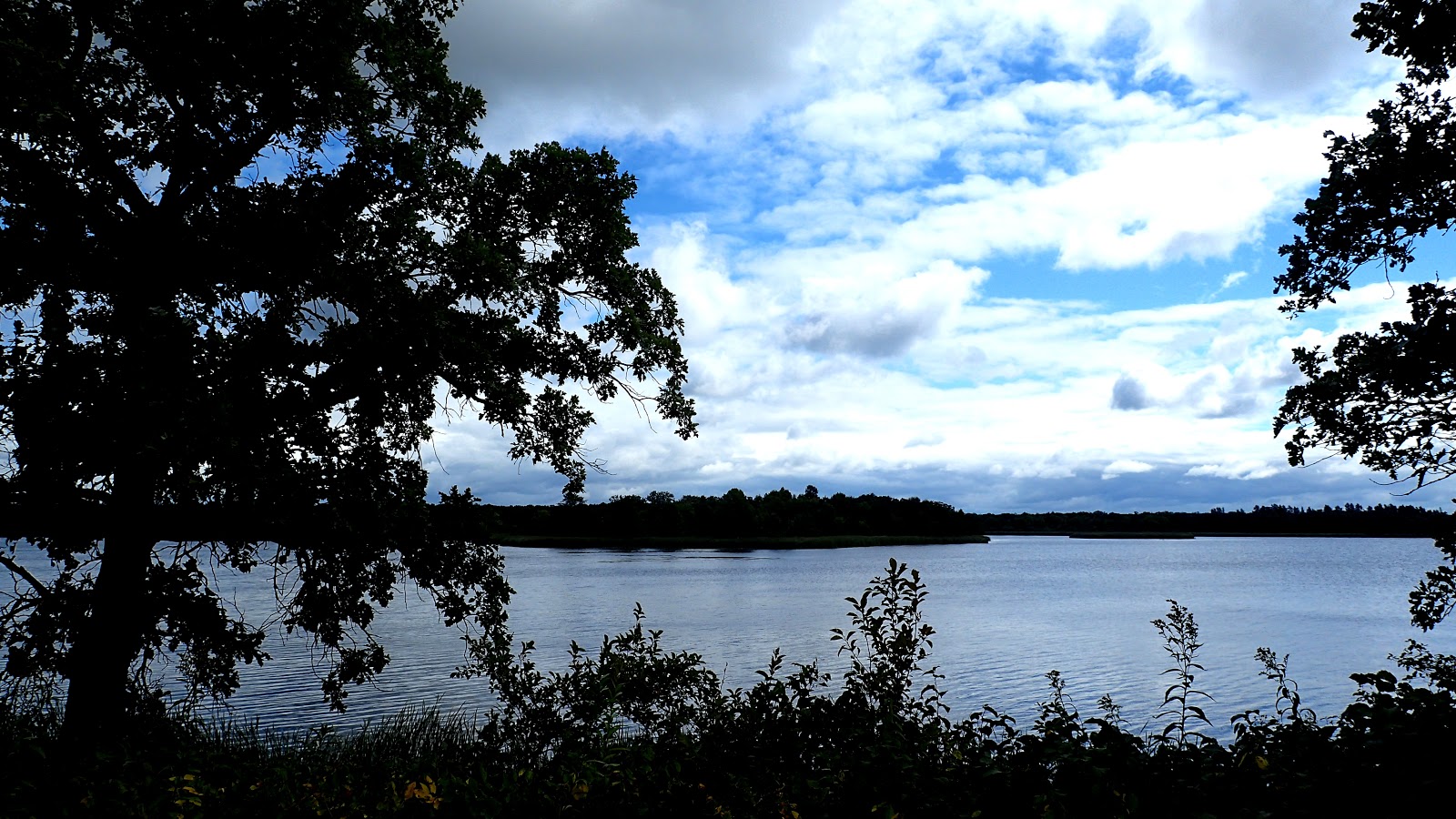 The Continuing Adventures of Eric, Noelle and Sierra Lake Bronson