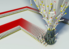 Nanolitografia Dip-pen