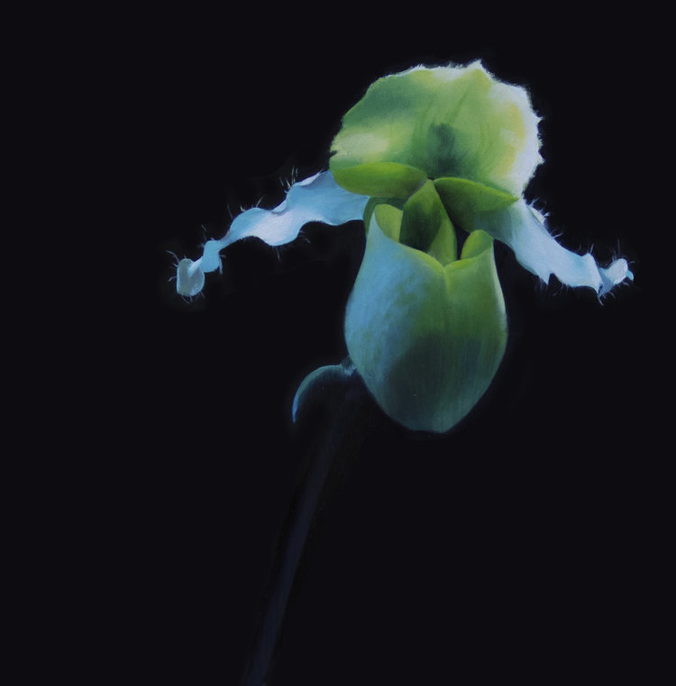 Thomas Wharton... Kai Fine Art