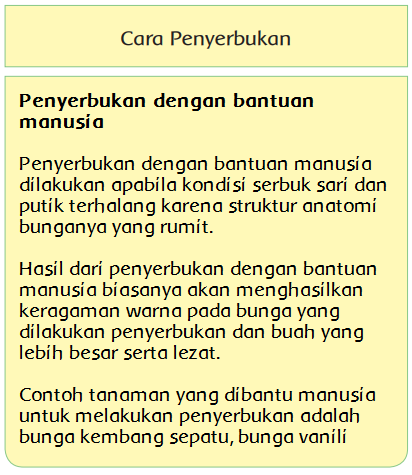 Perkembangbiakan Tumbuhan Dengan Bunga Halaman 6 Belajar Kurikulum 2013