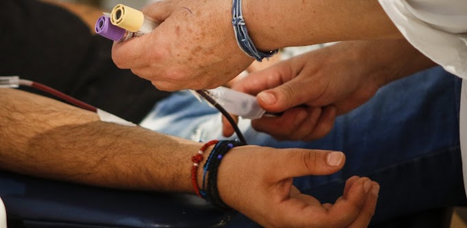 Τρίτο κρούσμα ιού του Δυτικού Νείλου: Εντοπίστηκε στην Καβάλα - Στην Ξάνθη τα προηγούμενα