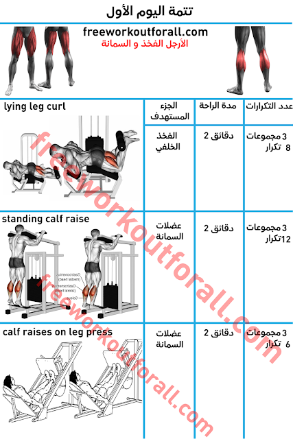 جدول تمارين كمال الاجسام 5 ايام بالصور