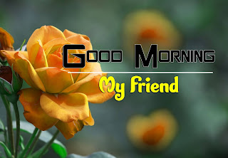 Beautiful-Good-Morning-4k-Images-Download-For-GF-Friend