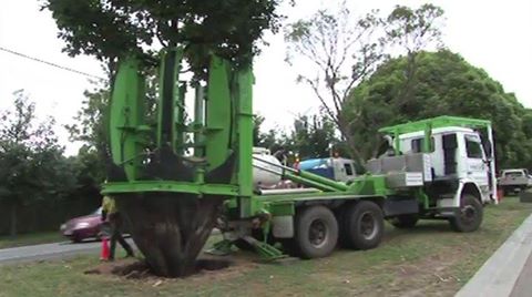 Mechanical Engineering: Tree Relocation Machine