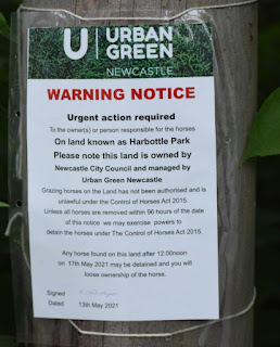 A poster from Urban Green Newcastle warning that horses tied up on Harbottle Park will be removed