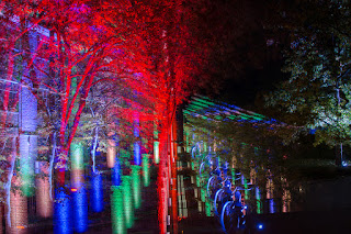 Fotokunst Langzeitbelichtung Herbstleuchten Maximilianpark Hamm ICM