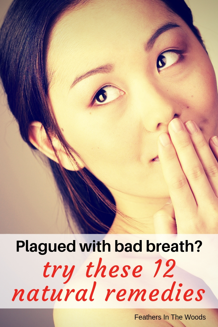 Natural Remedies For Bad Breath Feathers in the woods