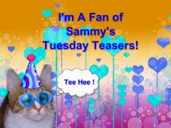 We're fans of Sammy's Teasers