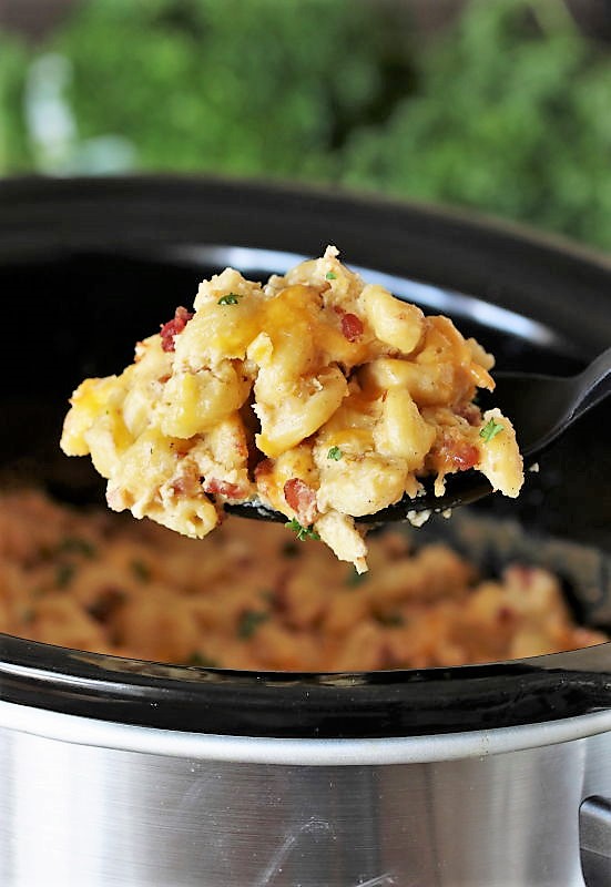 Slow Cooker Bacon Macaroni and Cheese The Kitchen is My Playground