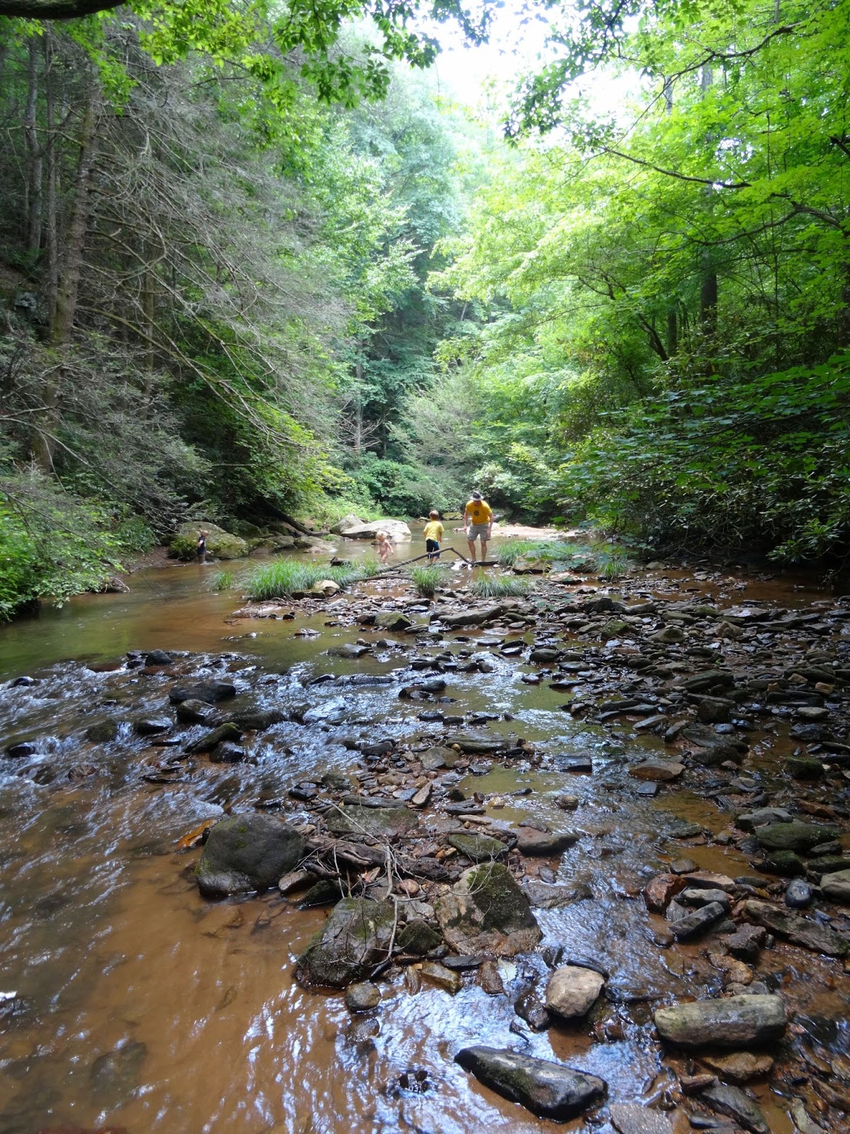 Femme au foyer Little Bradley Falls in Saluda, NC