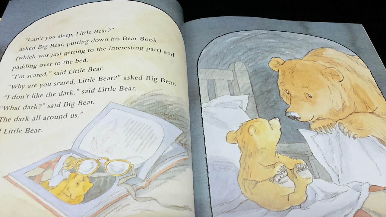 Kid Books Blog 552.Can't you sleep, little bear / Well done, little bear / Snow bear
