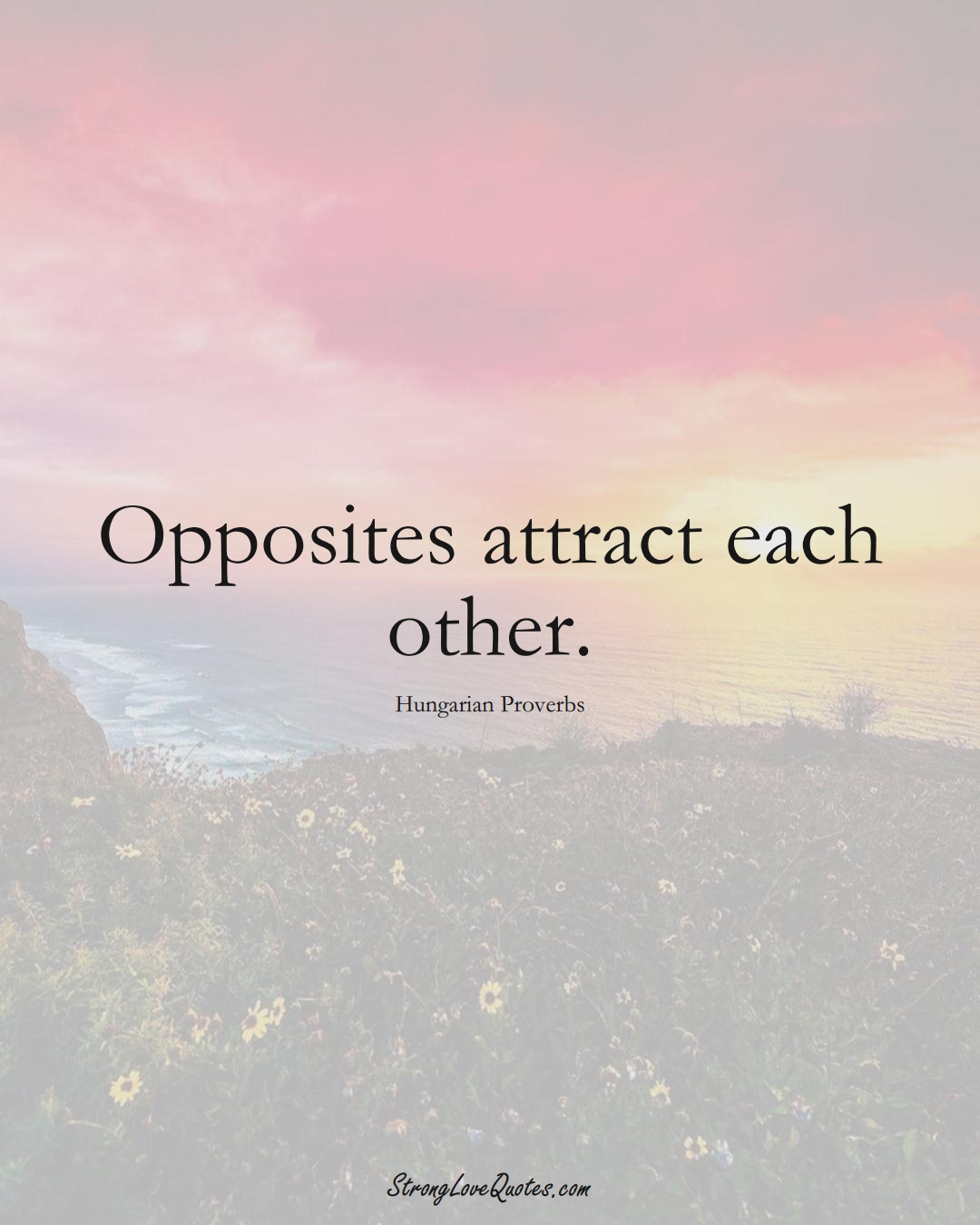 Opposites attract each other. (Hungarian Sayings);  #EuropeanSayings